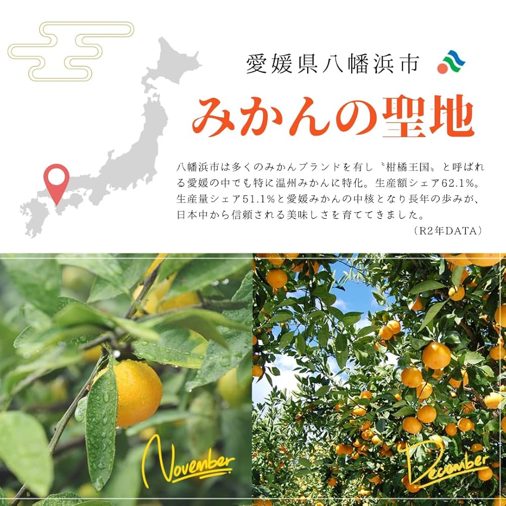 Amazon.co.jp: ぷらと果樹園 MIKAN10ce 100％ストレートジュース